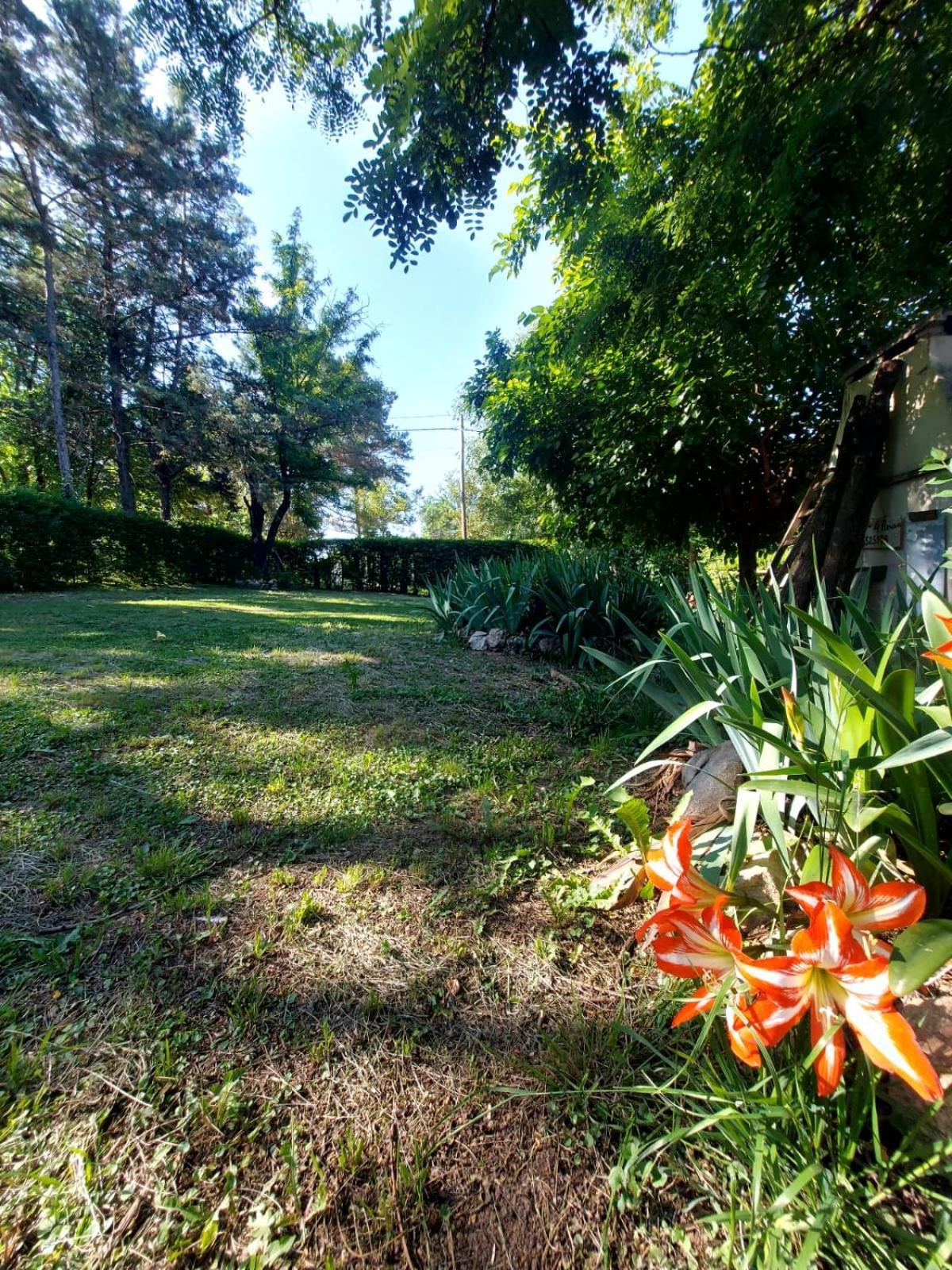 Casita Mia Los Reartes